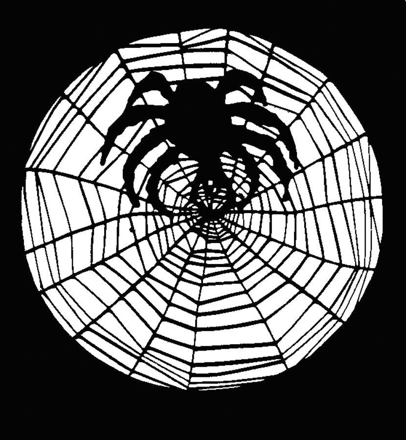 Stencil Spider W Web Stainless