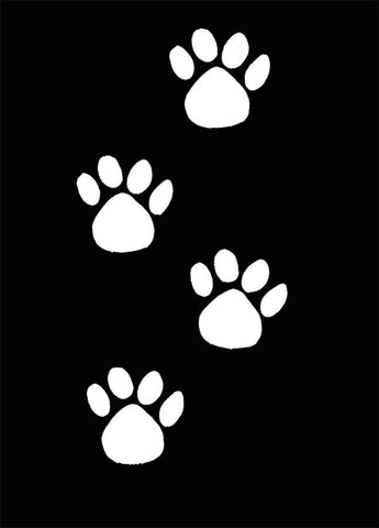 Stencil Paw 4 No Claw Plast