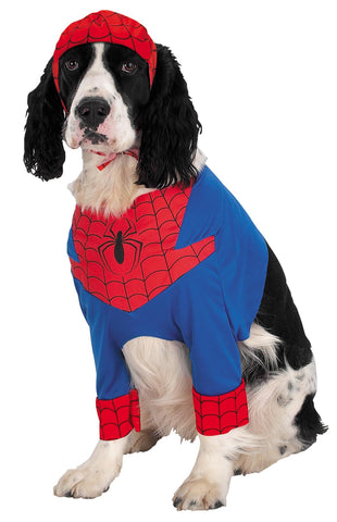 Spiderman Dog Small