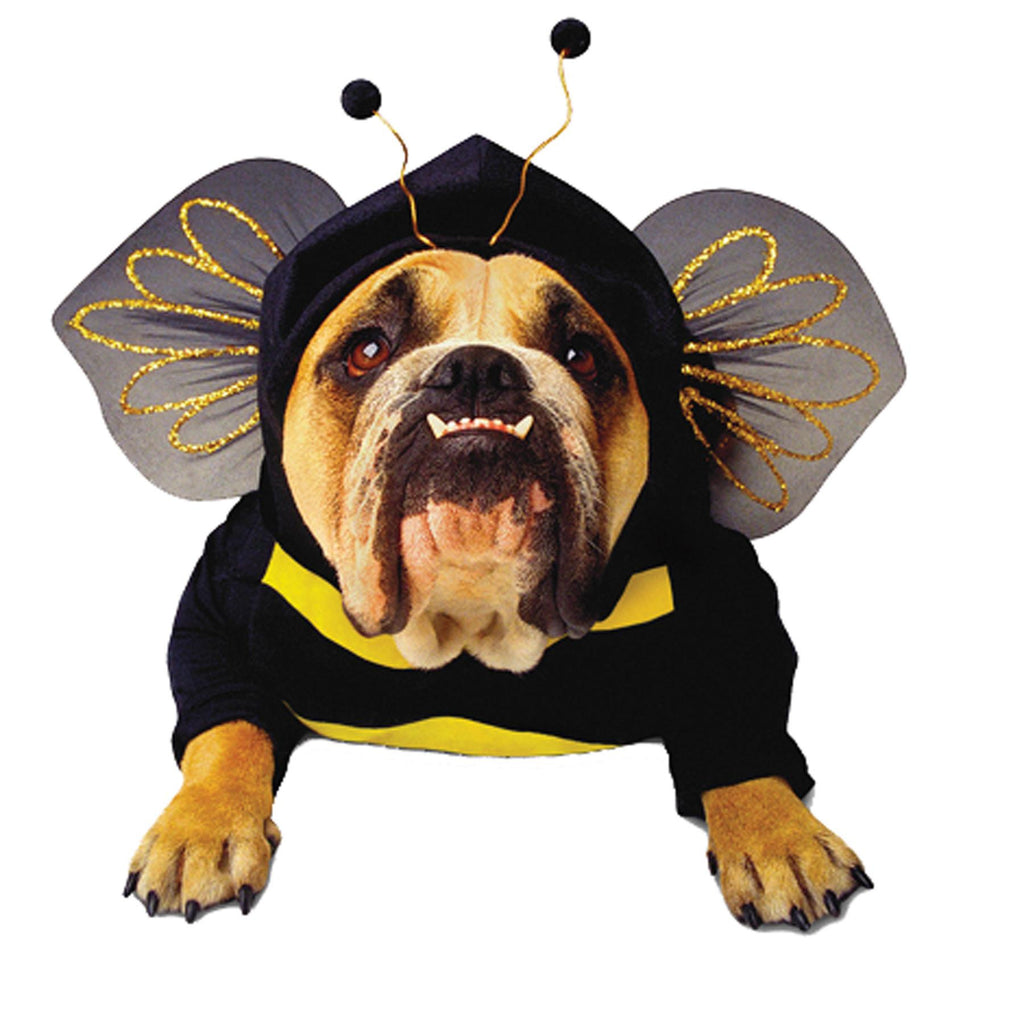 Zelda Bee Pet Small