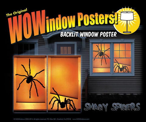 Shady Spiders Wow Windows