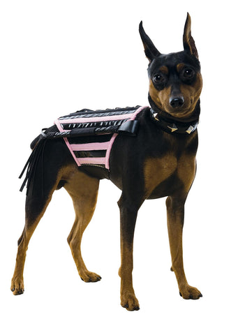 Doginatrix Pk-bk Dog Costum Sm