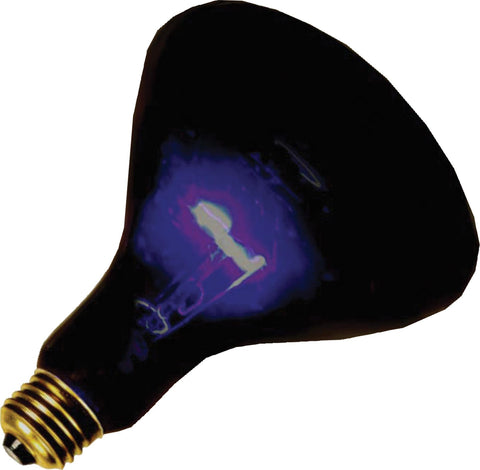 Blacklight 75 Watt Spot Bulb