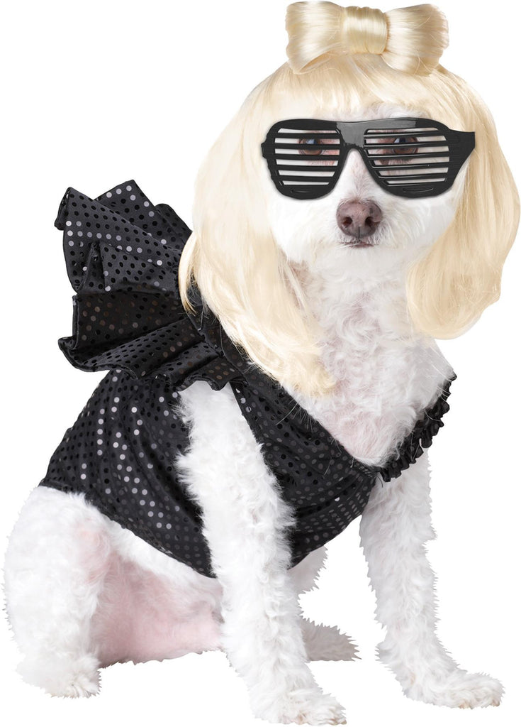 Pet Pop Sensation Large