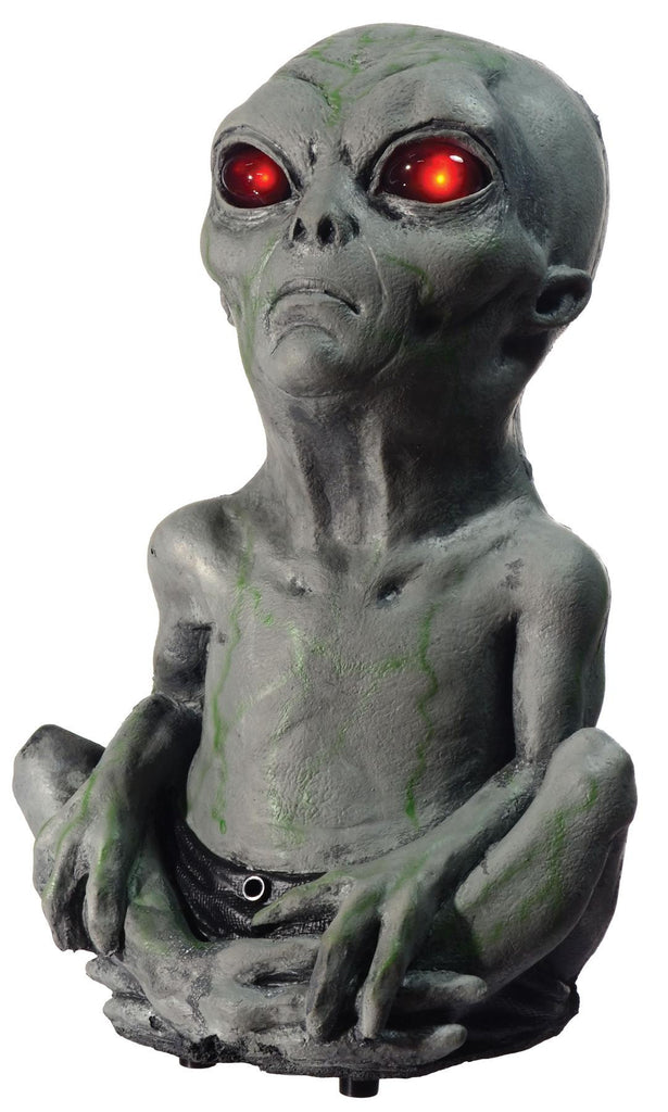 Roswell Alien Baby Motion Acti