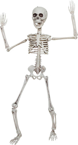 Poseable Skeleton 20 In