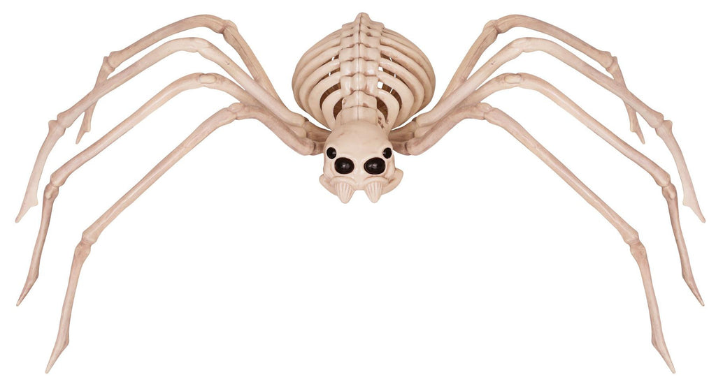 Skeleton Spider