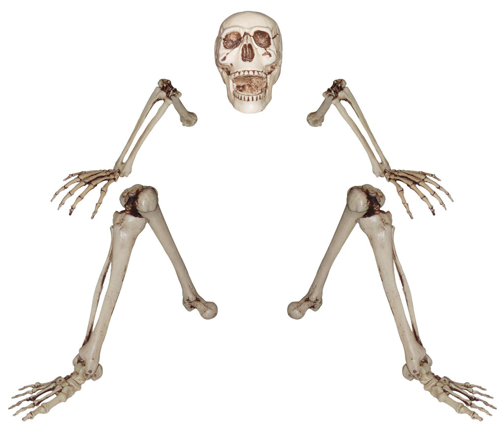 Skeleton Ground Breaking