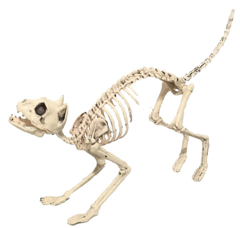 Sonic Realistic Skeleton Cat