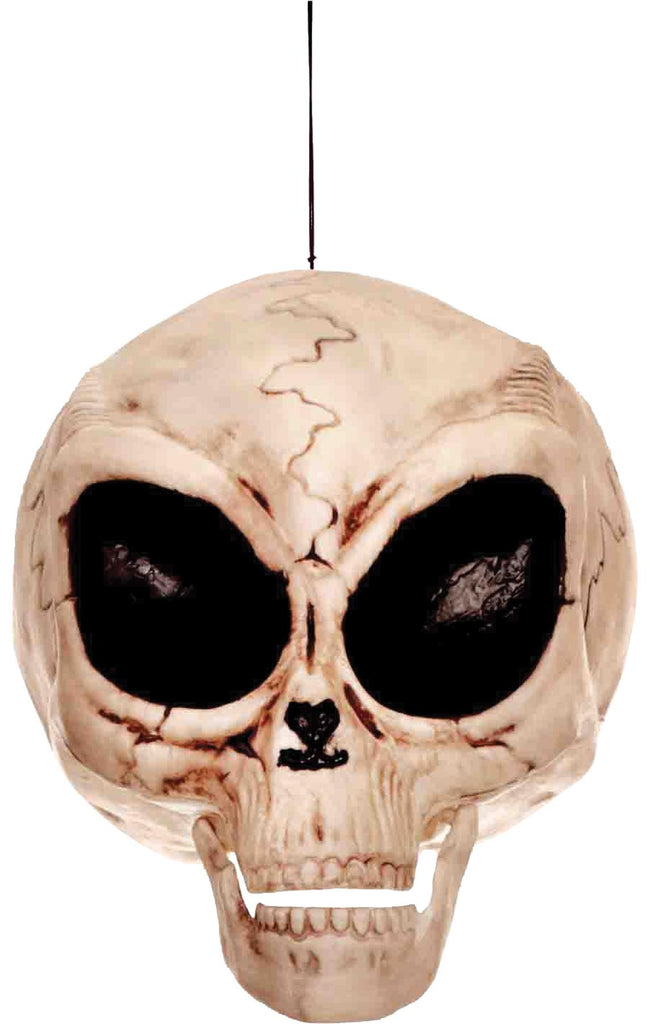 Alien Skull